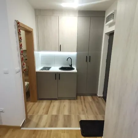 Ice Age Apartment