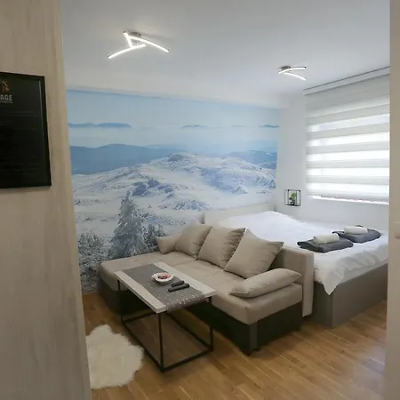 Apartment Ice Age *